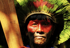 Samurais da Amazônia