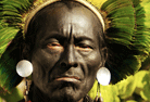 Samurais da Amazônia
